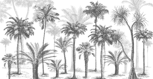 Jungle Black & White Wallpaper