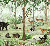 Papier peint bébé douceur forestière, XXL, tendance