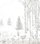 Black and white forest wallpaper – Douceur des Bois