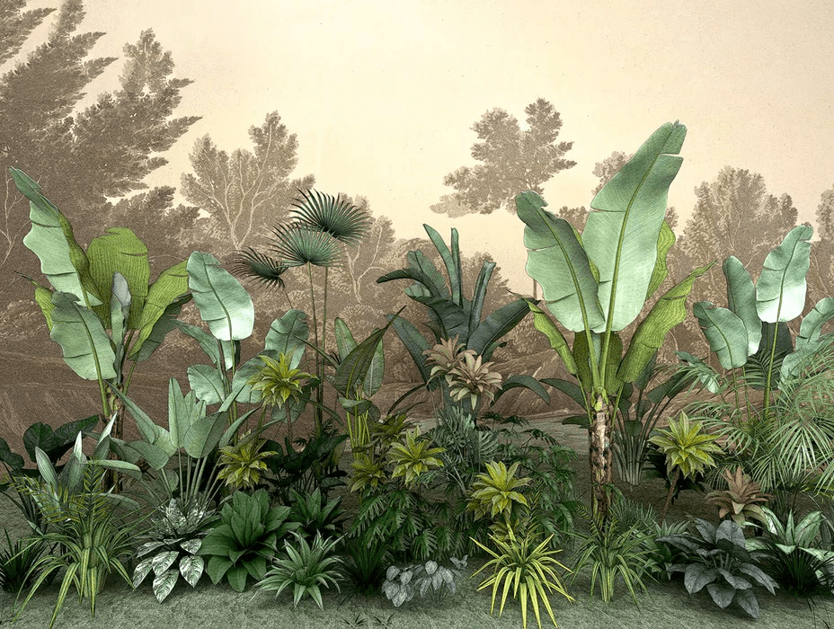 Indonesian Jungle Wallpaper