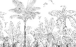 Black and white leopard jungle wallpaper
