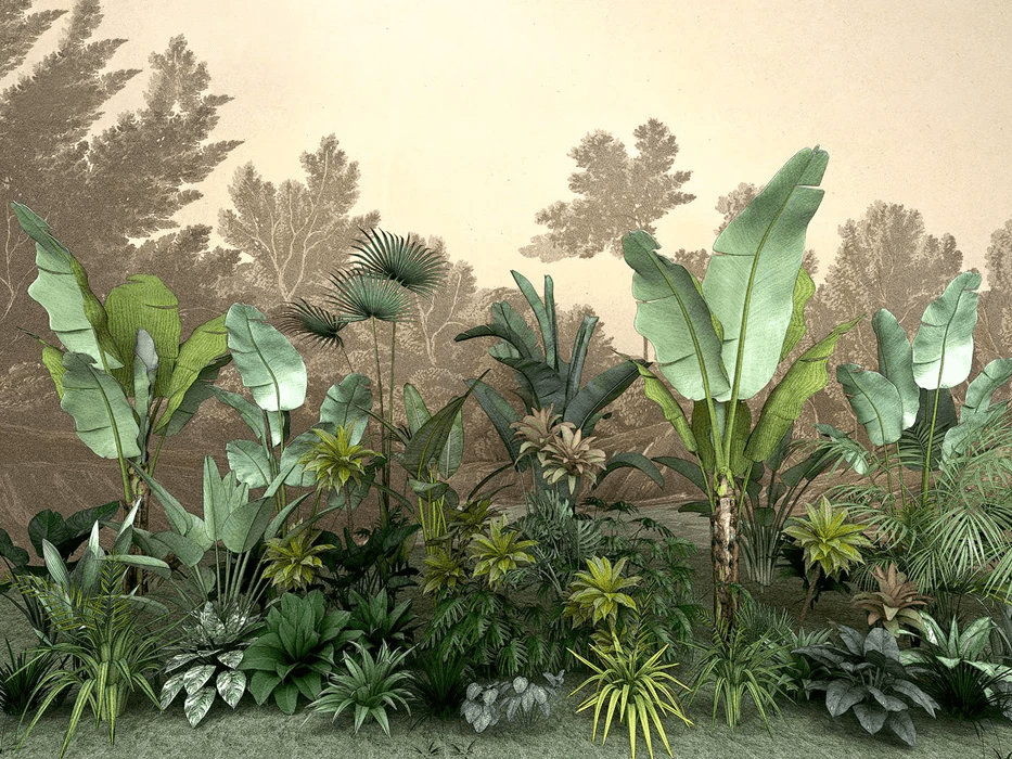 Jungle indonésia wallpaper