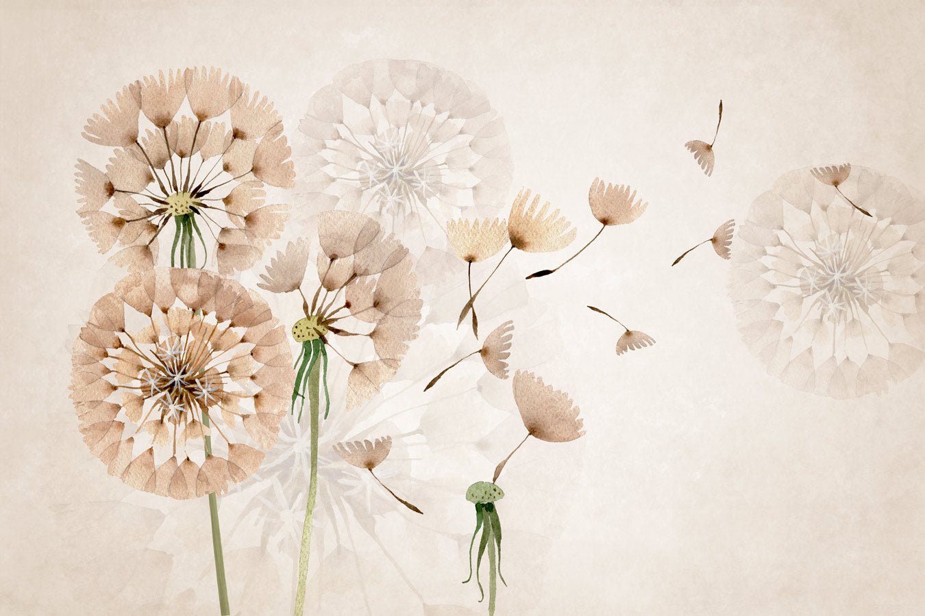 Papier peint fleur pissenlit - papier peint sur mesure francais - muralconcept