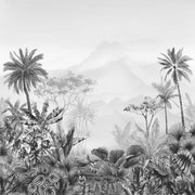 Black & white panoramic wallpapers