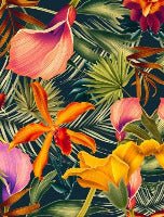 Papel pintado WC Naranja Tropical