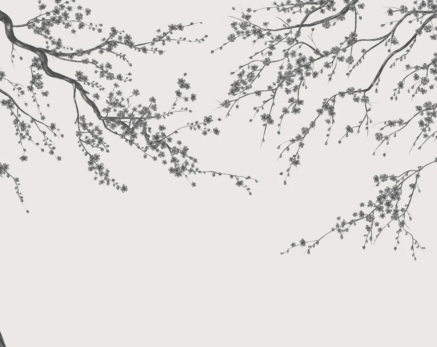 Papier peint panoramique fleur Sakura noir et blanc, XXL, tendance