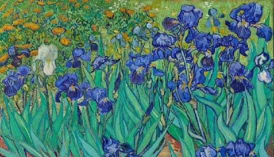 Papier peint fleur Iris, XXL, tendance