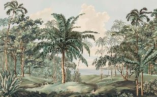 Papier peint paysage Célèbes, XXL, tendance