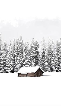 Carta da parati panoramica per chalet di montagna