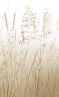 Papel pintado WC flor de trigo beige