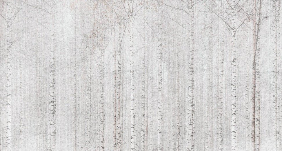 Enveloping birch forest wallpaper