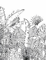 Carta da parati panoramica con foglie botaniche in bianco e nero