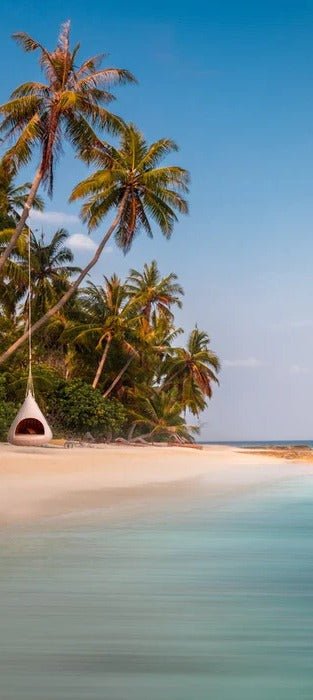 Papier peint panoramique cocotier plage, XXL, tendance