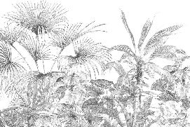Papier peint tropical gravure monochrome, XXL, tendance