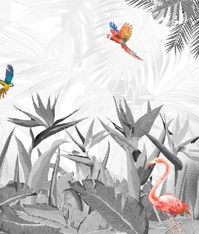 Papier peint noir et blanc oiseau du paradis, XXL, tendance