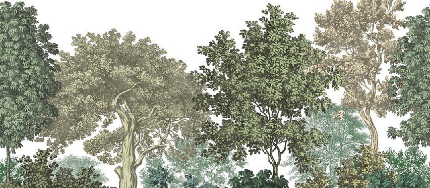 Papier peint restaurant paysage forêt gravure, XXL, tendance