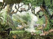 Papier peint enfant jungle secrète