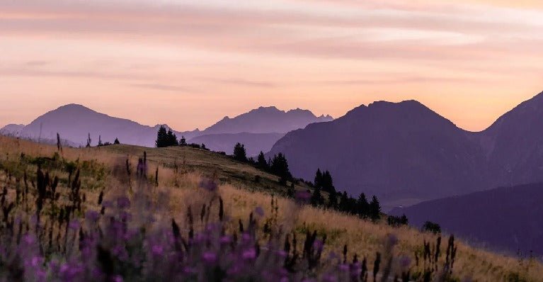 Papier peint restaurant massif du Giffre, XXL, tendance