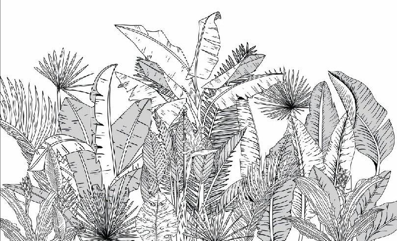 Papier peint panoramique noir et blanc botanic leaf