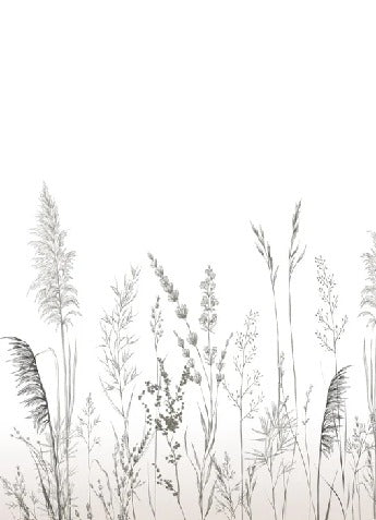 Papier peint poétique pampa, XXL, tendance