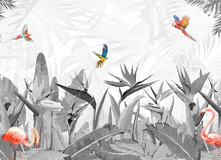Tapete schwarz und weiß Paradiesvogel