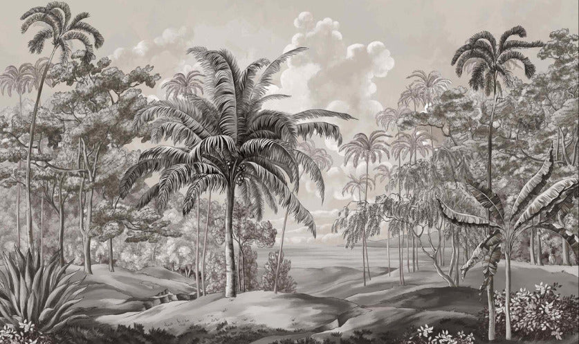 Papier peint paysage Célèbes noir et blanc