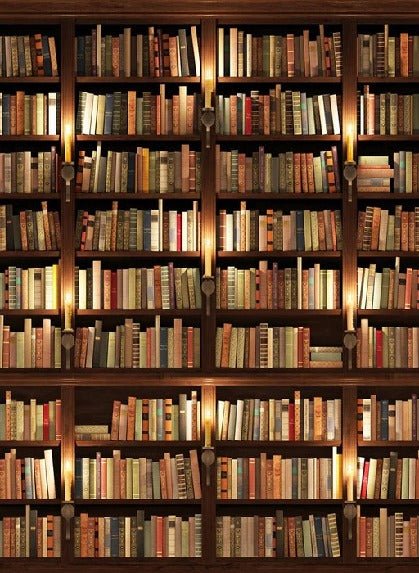 Papier peint trompe l'oeil Authentique Bibliothèque