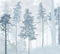 Carta da parati panoramica della foresta blu scandinava