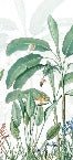 Papier peint panoramique tropicalis, XXL, tendance
