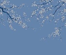Papel pintado panorámico de flores azules de Sakura