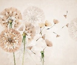 Papier peint fleur pissenlit