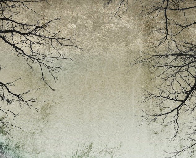 Papier peint Forêt Enchantée, XXL, tendance