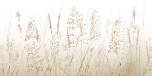 Papier peint fleur des champs de blé, XXL, tendance