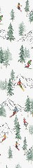 Papier peint Alpine glisse