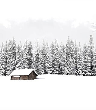 Carta da parati panoramica per chalet di montagna