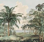 Papier peint paysage Célèbes, XXL, tendance