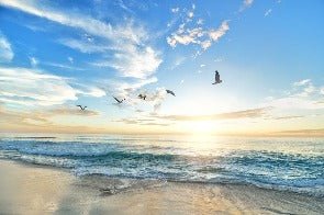 Papier peint salle de bain plage paradisiaque, XXL, tendance