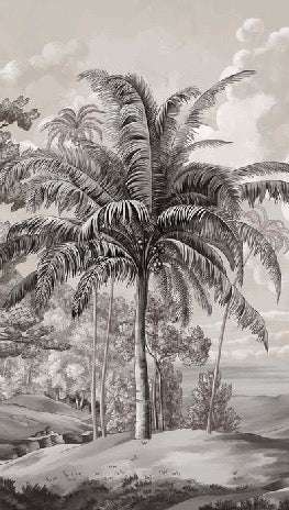 Papier peint paysage Célèbes noir et blanc, XXL, tendance