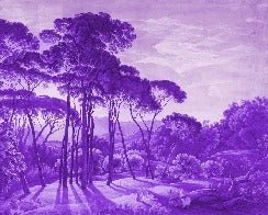 Papier peint paysage historique italien violet, XXL, tendance