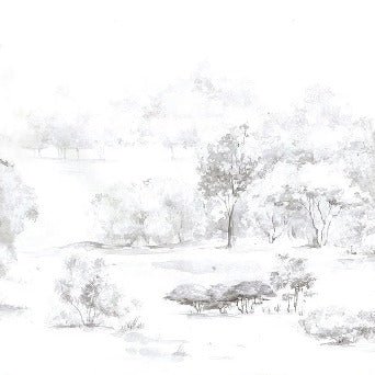 Papel pintado Bosque de pinos en acuarela