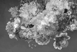 Papier peint fleur pivoine noir et blanc