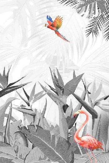 Tapete schwarz und weiß Paradiesvogel