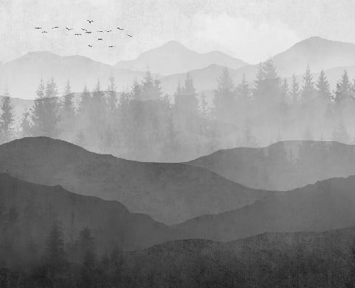 Papier peint panorama nature noir et blanc, XXL, tendance