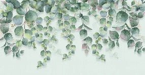 Naturtapete Pflanze Eukalyptus