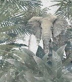Papier peint Elephant d'Amazonie