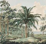 Carta da parati del paesaggio di Sulawesi