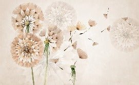 Papier peint fleur pissenlit