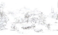 Papel pintado Bosque de pinos en acuarela