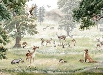 Kindertapeten Tiere und Haustiere