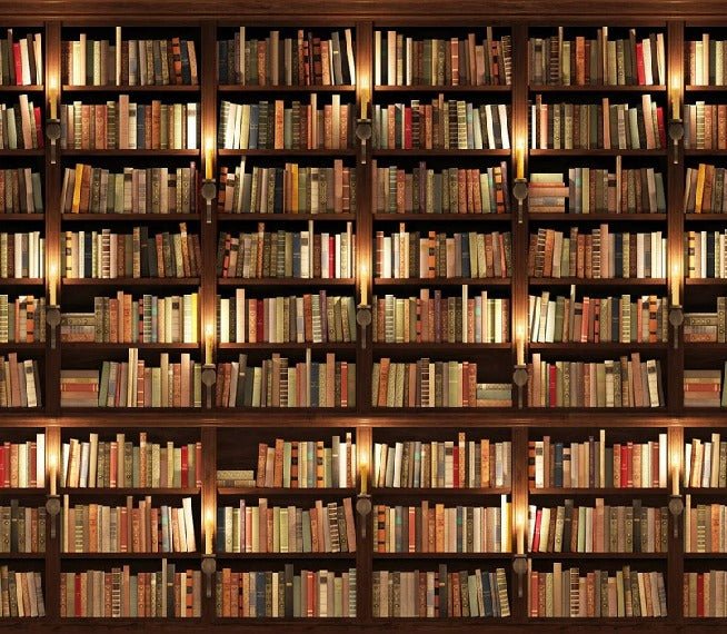 Papier peint trompe l'oeil Authentique Bibliothèque